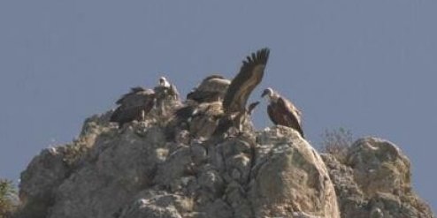 VIP restoran za kraljeve srpskog neba! Na Pešterskoj visoravni uskoro veliko spremanje