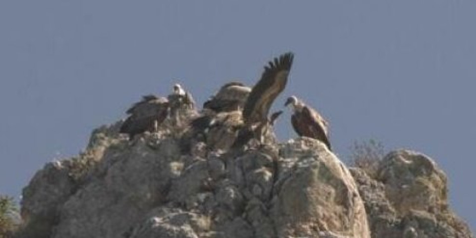 VIP restoran za kraljeve srpskog neba! Na Pešterskoj visoravni uskoro veliko spremanje