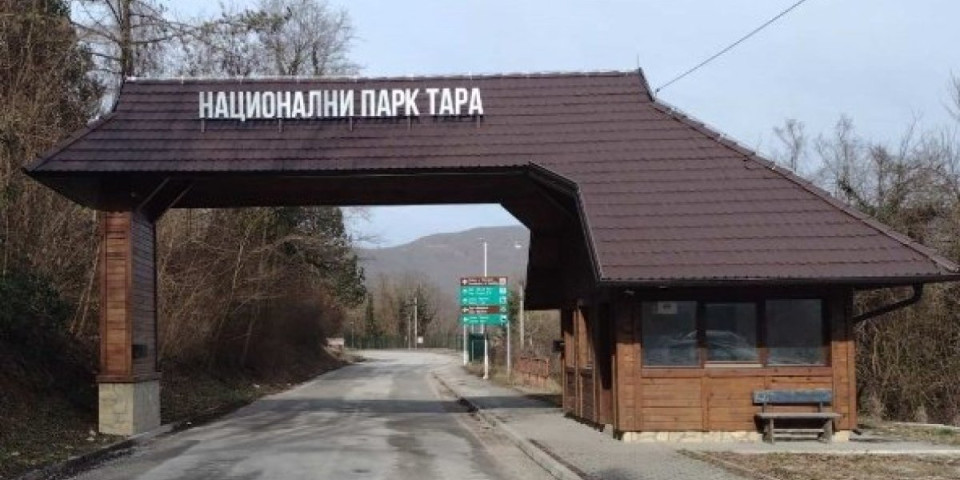 Preko Tare može sad i ovako: Bez gužve i čekanja