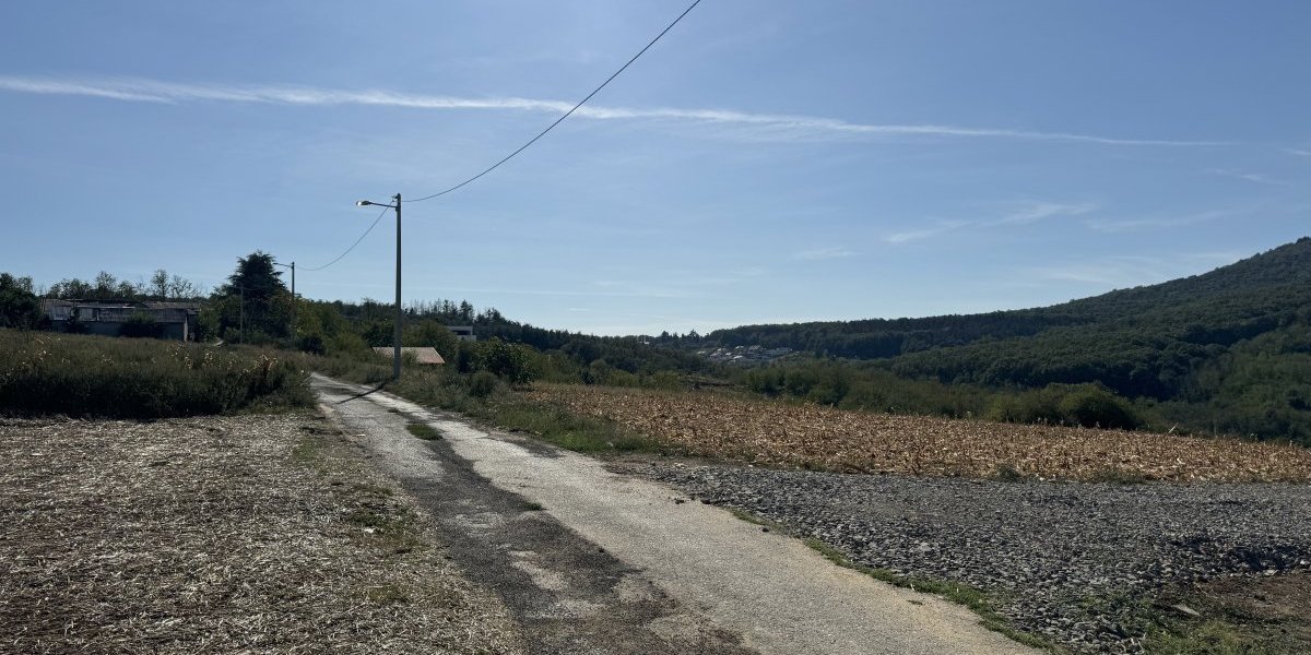 Plac Cece Ražnatović