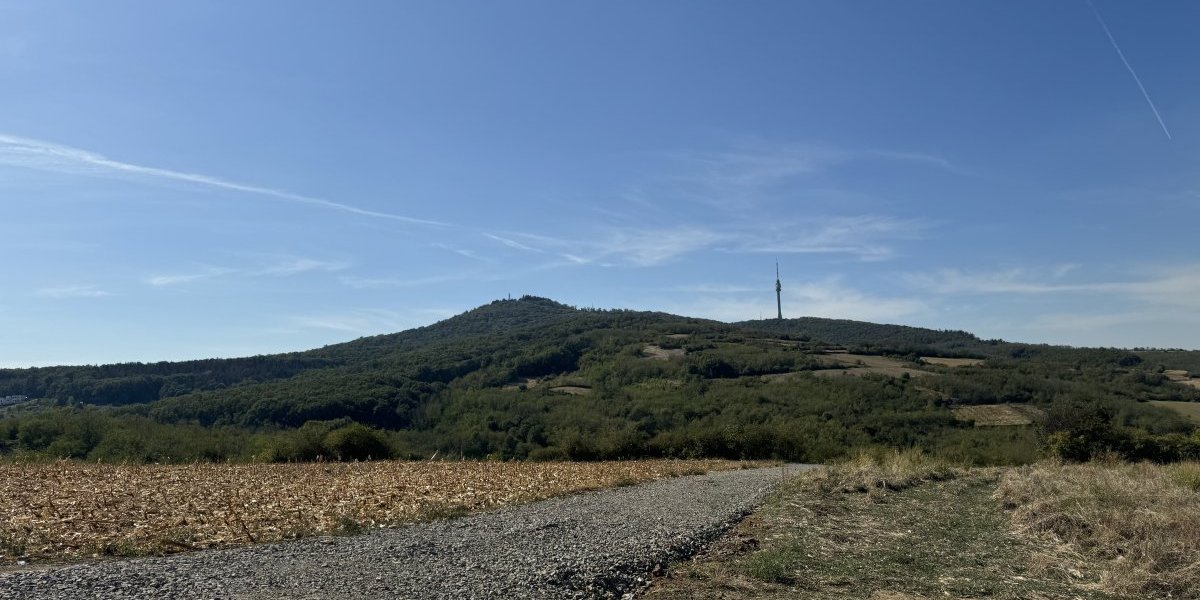 Plac Cece Ražnatović