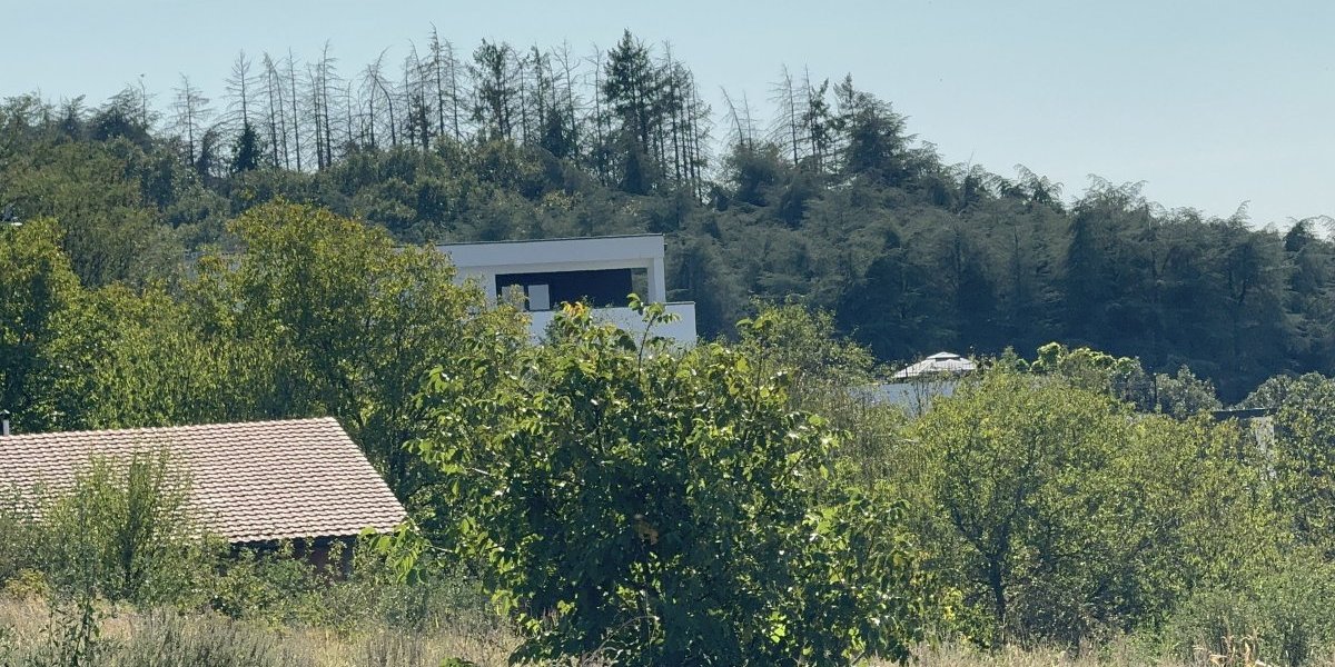 Kuća Mileta Kitića