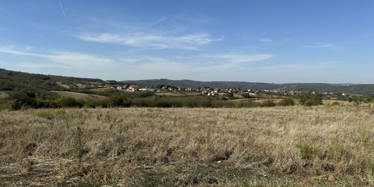 Plac Cece Ražnatović