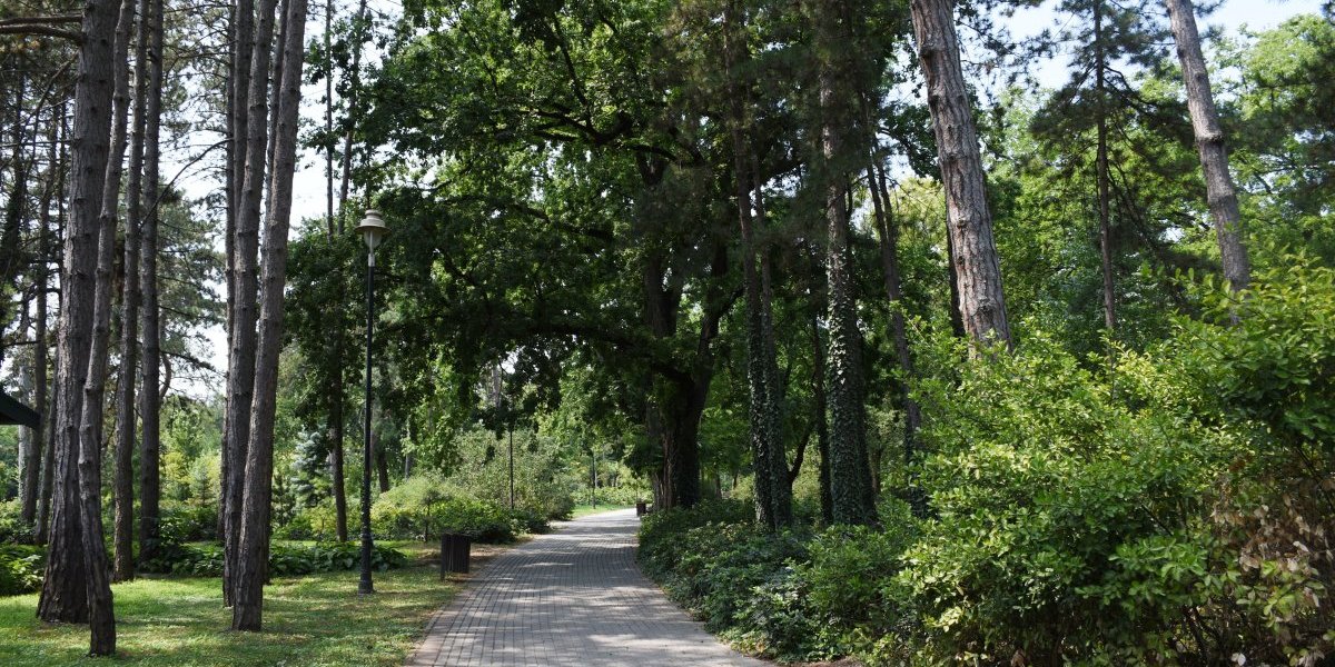 Da li ste čuli za "zelene sobe": Ovaj grad prvi će ih imati u Srbiji