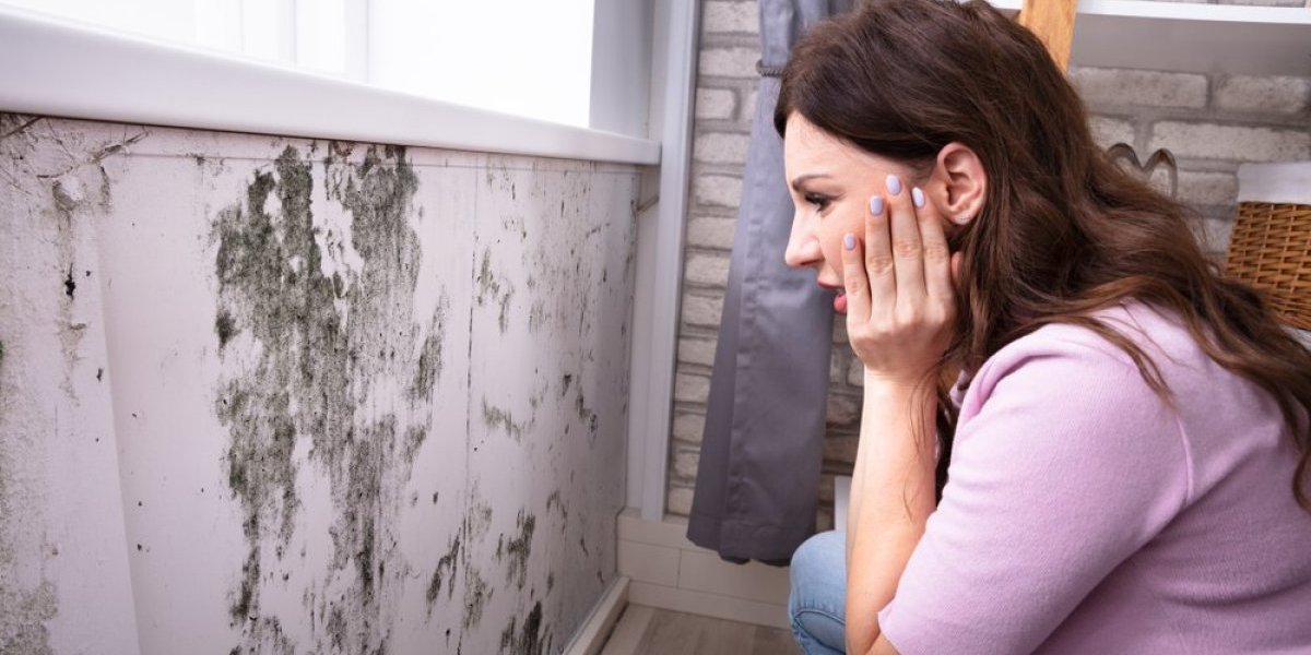 Jesenje navike koje stvaraju buđ u kući: Mnogi greše u ove 3 stvari i uništavaju svoj dom