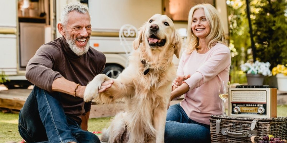 3 razloga da udomite starijeg psa: Štenci vas mogu izluđivati – evo zašto je odrasli ljubimac bolji