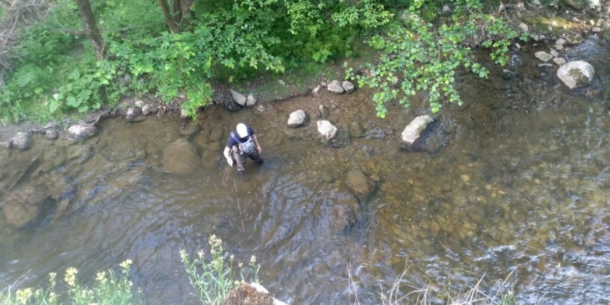 Što ste pecali, pecali ste: Pozdrav sa Đetinje