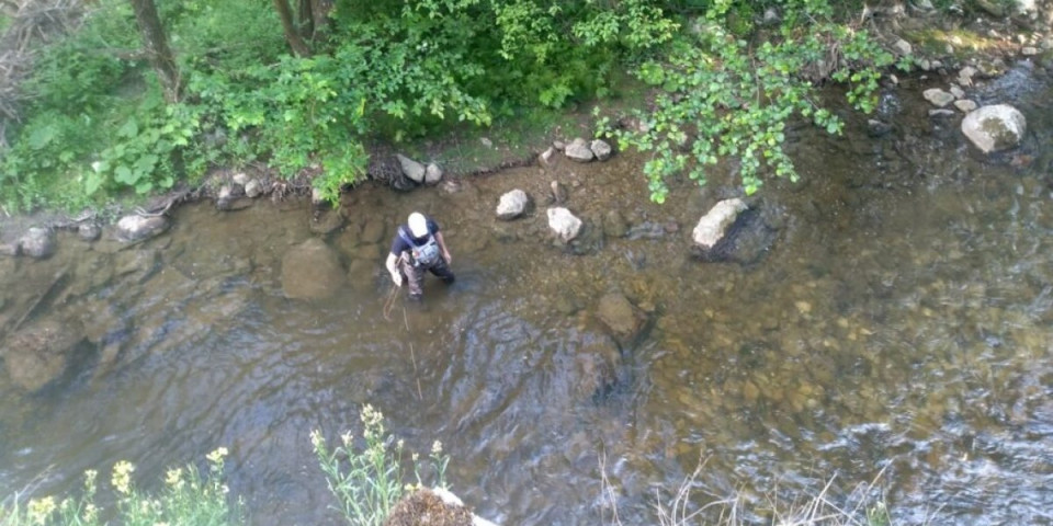 Što ste pecali, pecali ste: Pozdrav sa Đetinje