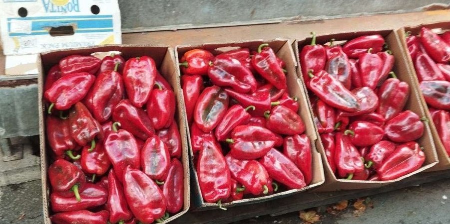 Najviše je traže, najviše je ima: Najprodavanija roba u Novom Sadu