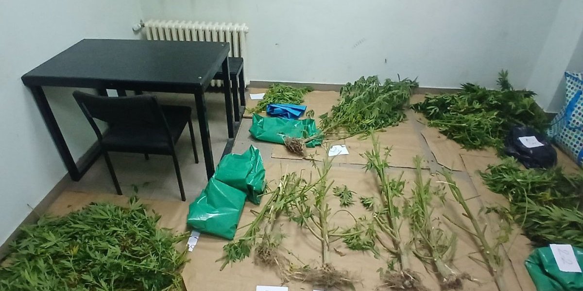 Uhvaćen na delu: Hapšenje u Kraljevu (FOTO)