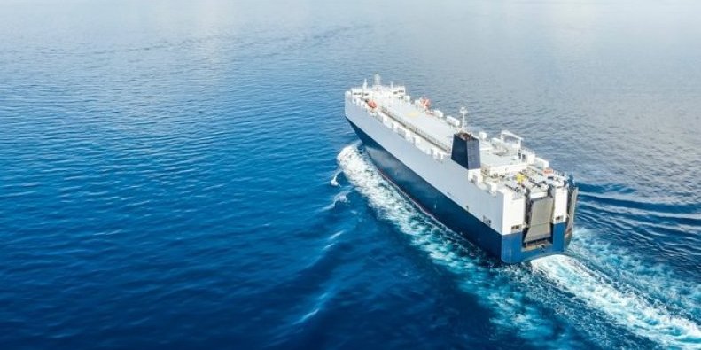 Šok na trajektu: Želela brže da stigne kući, a završila je na nepoznatom ostrvu (VIDEO)