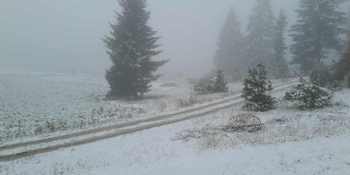 Zabelela se Srbija! Planine obukle snežne kapute, uskoro će stići i do prvih sela