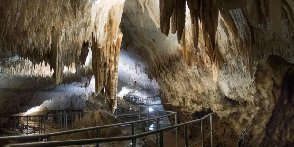 Najveća tajna istočne Srbije već pola veka: Gde je skriveno blago hajduk Rajka?