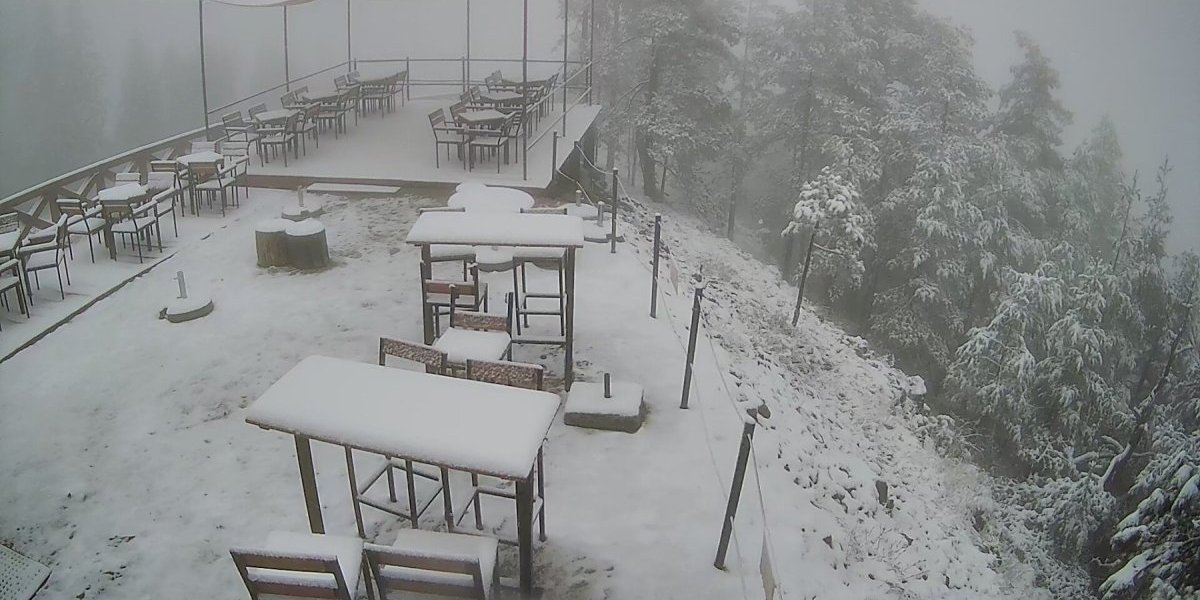 Ne ide ni rakija na ovu zimu?! Zbog vremenskih uslova otkazana tradicionalna manifestacija