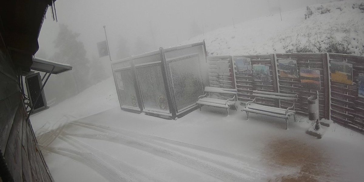 Do mraka se ovuda neće moći: Pada i ne staje