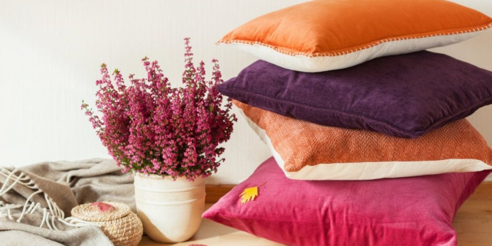 Magični vresak: Cvet koji boji jesen i zimu (FOTO)