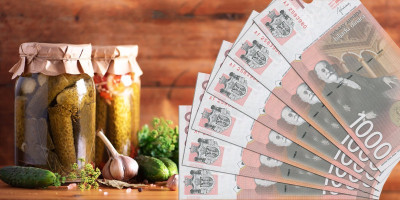 U susret zimi, mnoge srpske kuće već uveliko spremaju zimnicu, a Informer vam otkriva da li je jeftinije praviti ili kupovati kisele krastavčiće.