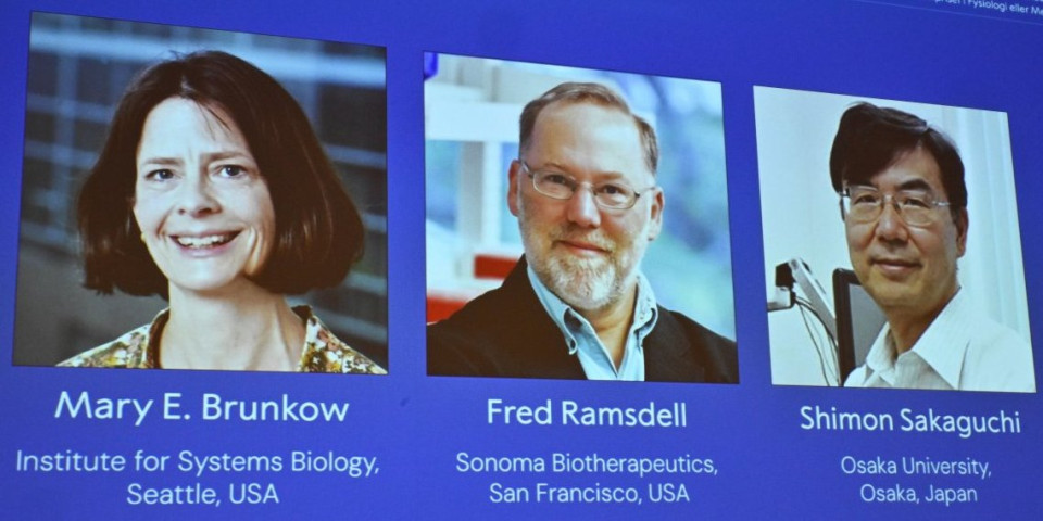 Naučnici Brunkov, Ramsdel i Sakaguči dobitnici su Nobelove nagrade za medicinu za 2025.