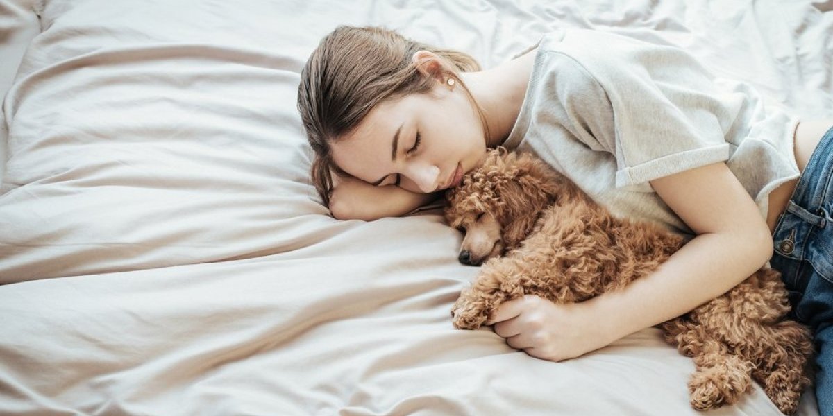 Istina o navici vašeg psa će vam otopiti srce: Evo zašto se psi pribiju uz vas tokom spavanja