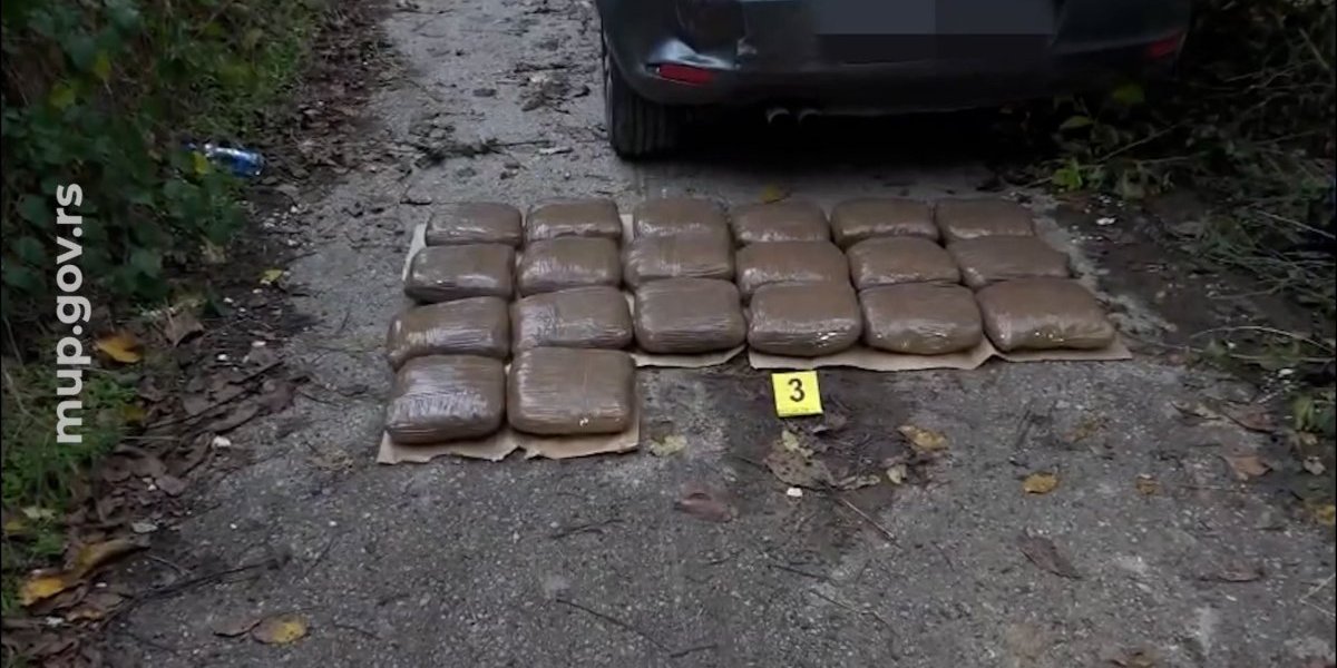 Zaplenjena droga 