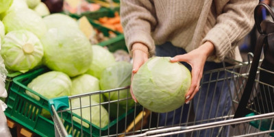 Ove sezone cena kupusa varira u zavisnosti od gradova, pa ćete tako kilogram ovog povrća u Leskovcu platiti 50 dinara, a u Beogradu čak duplo više!