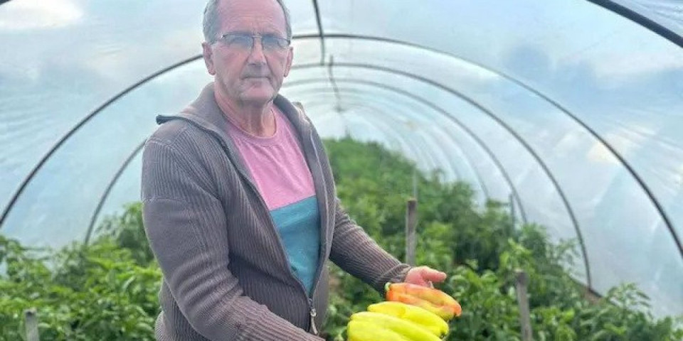 Veljo gaji zdravo povrće! U bašti ne koristi pesticide, već se protiv korova ovako bori