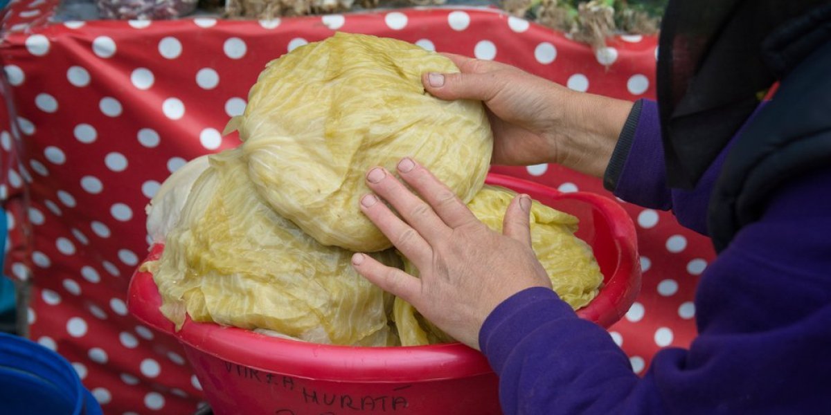 Nikad jeftiniji kupus: Domaćice šokirane