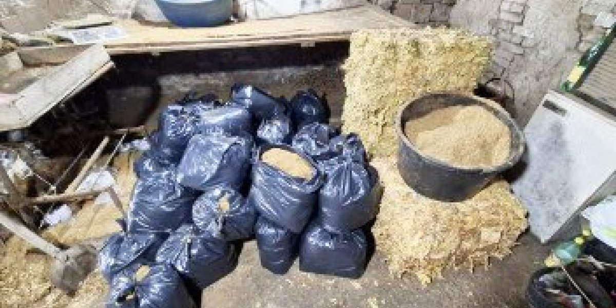 Zaplena duvana u Pančevu