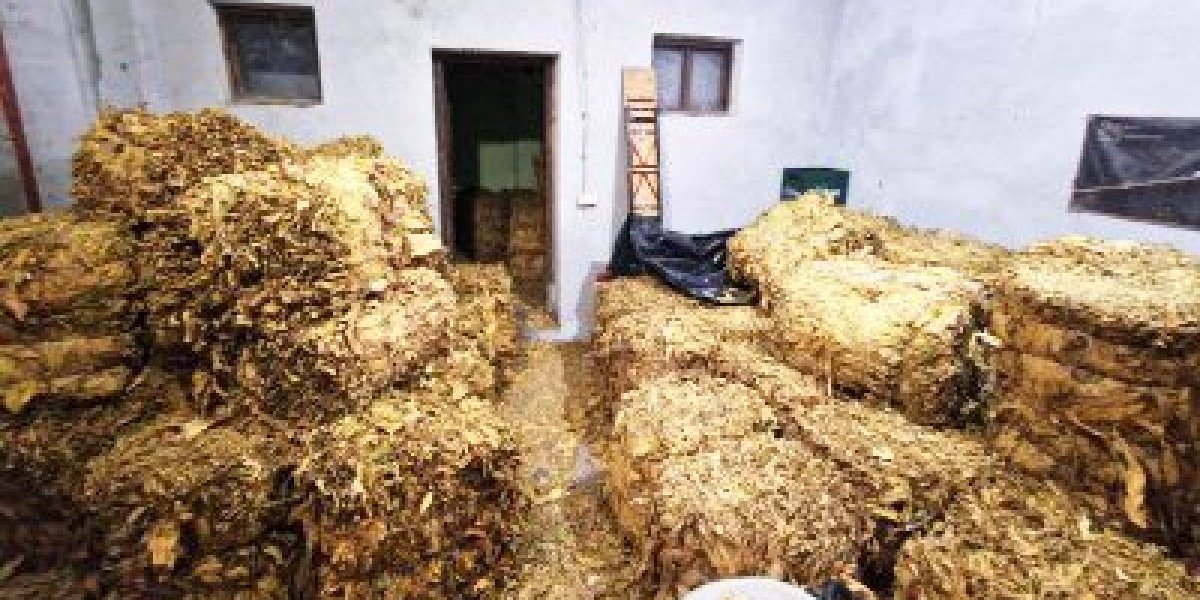 Šok! Zaplenjeno više od 5 tona duvana u Pančevu (FOTO)