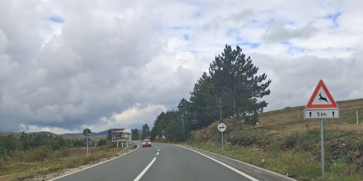 Drama na zlatiborskoj magistrali! Pregažene ostale su da leže pored puta sve do jutra