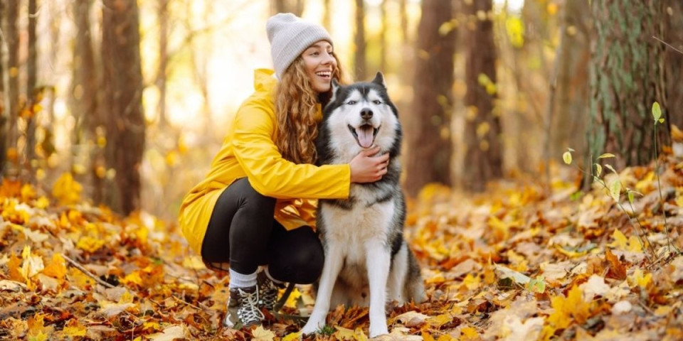Ojačajte imunitet psu tokom hladnih dana: Veterinar otkrio jeftin trik koji spasava zdravlje ljubimca