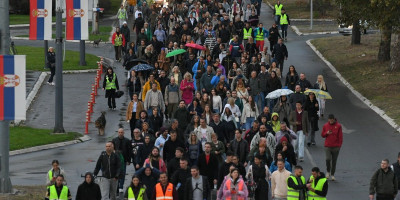 Irena Joveva, evropska poslanica, iz Slovenije uputila je mejl blokaderima, tražeći kontakt osobu kojoj bi predstavila plan za decembarsku sednicu u Strazburu, na kojoj bi oni, uz novinare iz Palestine i predstavnike političkih zatvorenika iz Belorusije i Gruzije, promovisali blokadersku agendu pred svetskim liderima.