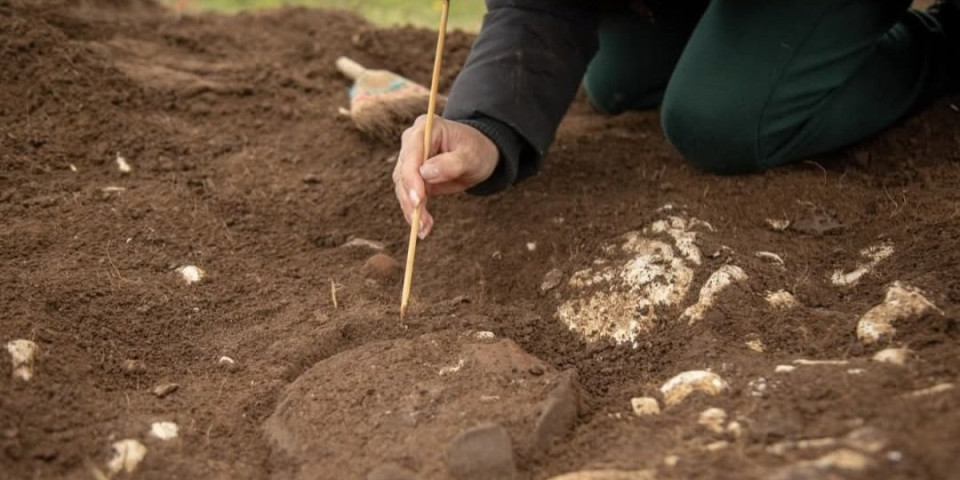 Probudili zvuk star 6 milenijuma! Arheolozi dunuli u drevnu školjku, pa ostali u čudu - podseća malo na zvuk koji vole i Srbi (FOTO/VIDEO)