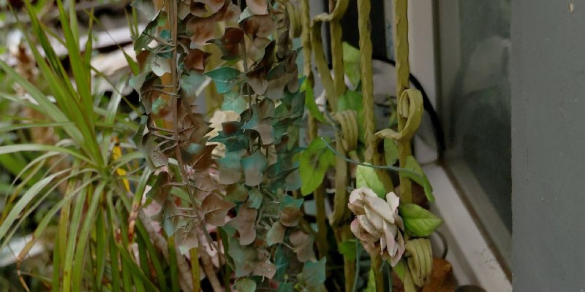 Kuća Site i Aneli Ahmić