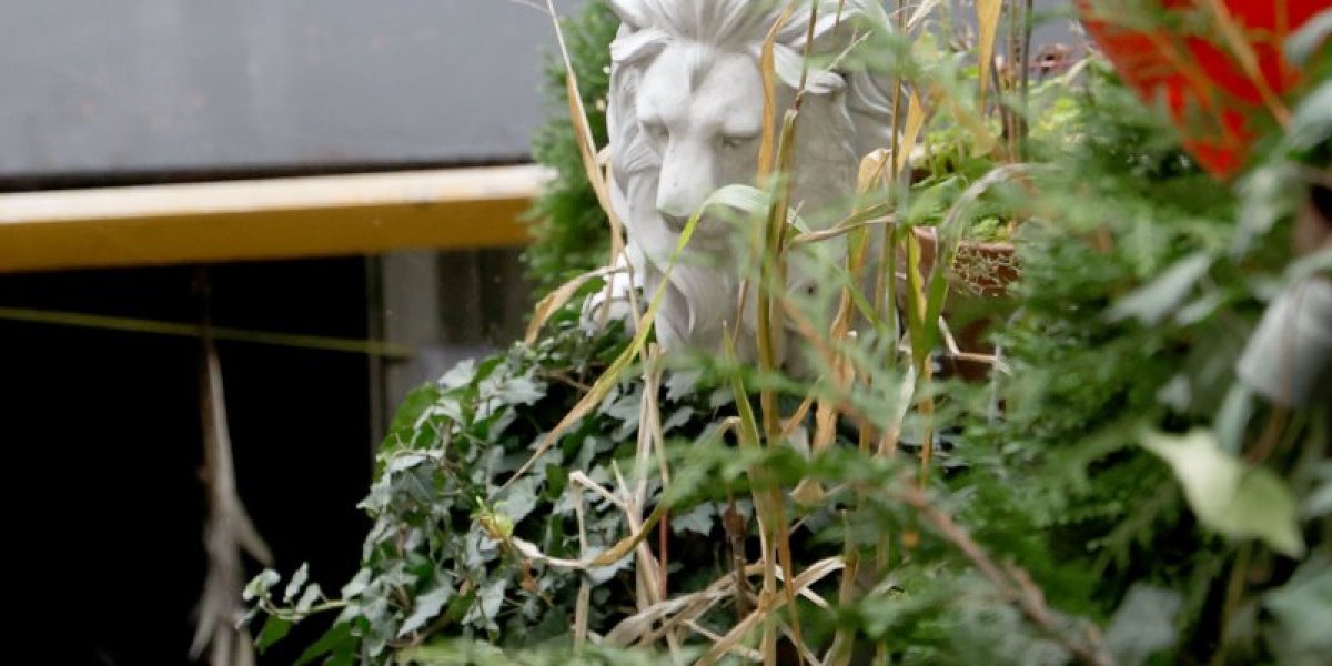 Kuća Site i Aneli Ahmić