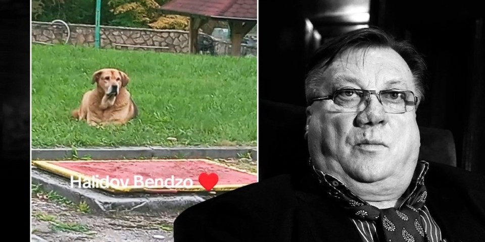 Pas Halida Bešlića rasplakao region - Od pevačeve smrti ništa ne jede (VIDEO)