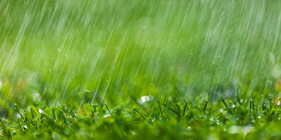 Kiša nije izgovor: Poslovi u bašti koji najbolje uspevaju po vlažnom vremenu