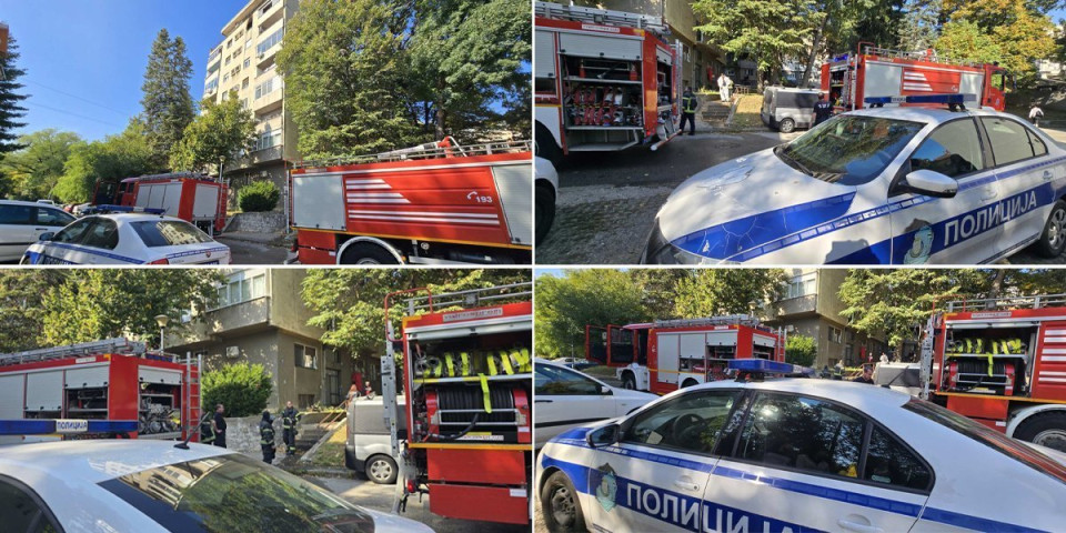 "Bila je ugljenisana, 80 odsto tela joj je izgorelo": Komšije otkrile detalje požara u Rakovici (FOTO/VIDEO)