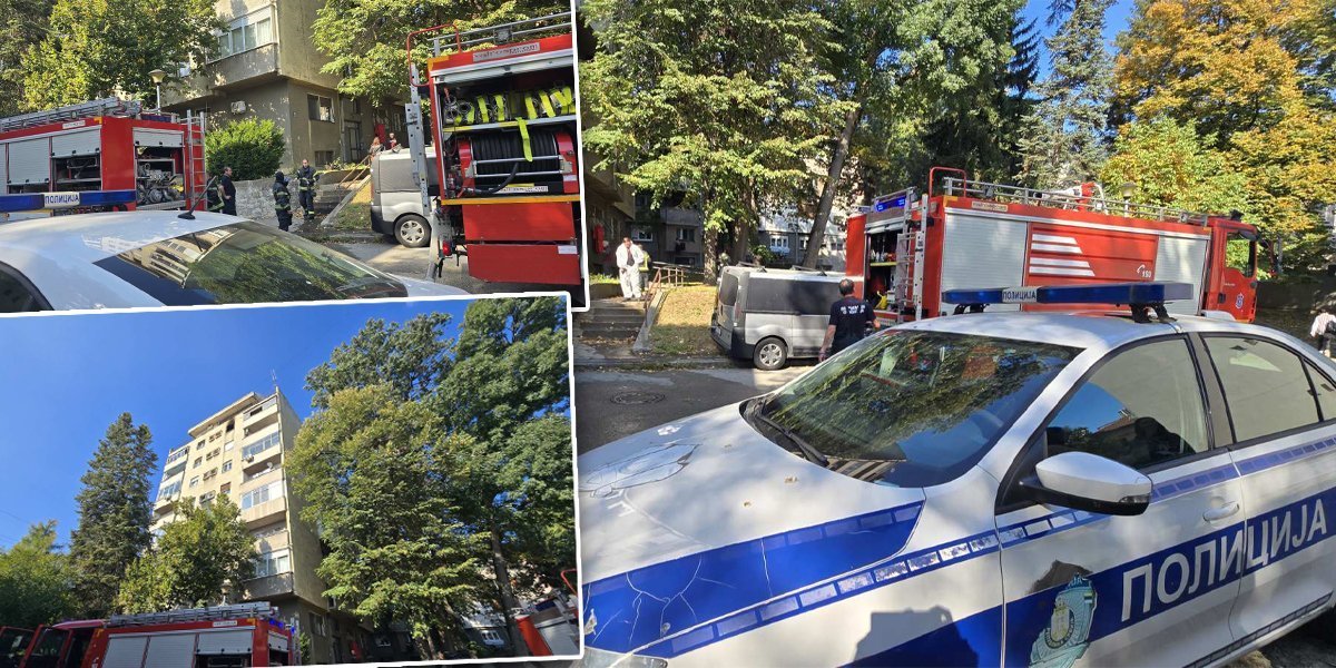 Komšija čuo zapomaganje! Pokušao da pomogne, a onda je sve utihnulo... Jezivi detalji požara u Rakovici (FOTO/VIDEO)