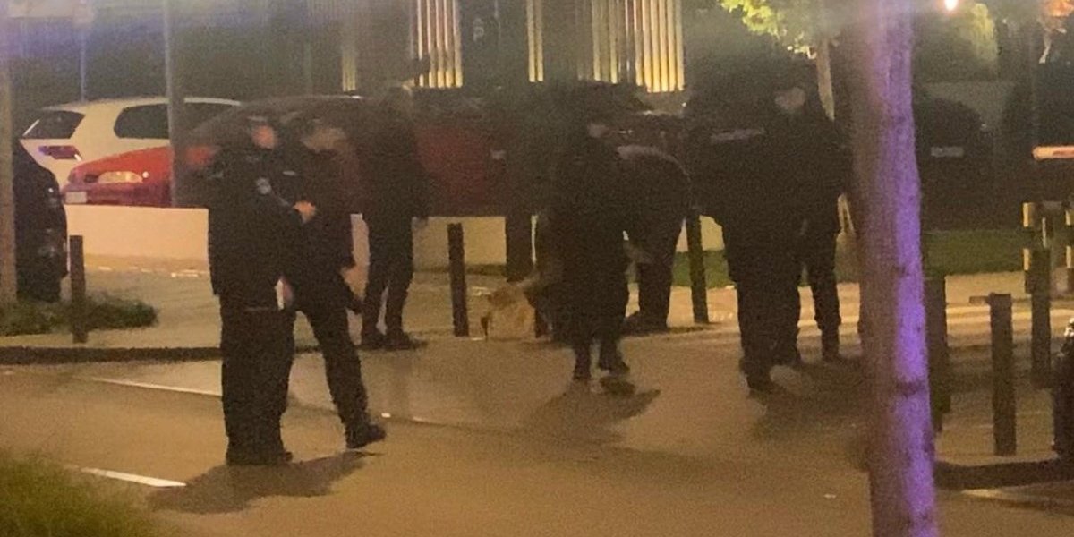 Ubistvo Filipa Ivanovića u Beogradu na vodi