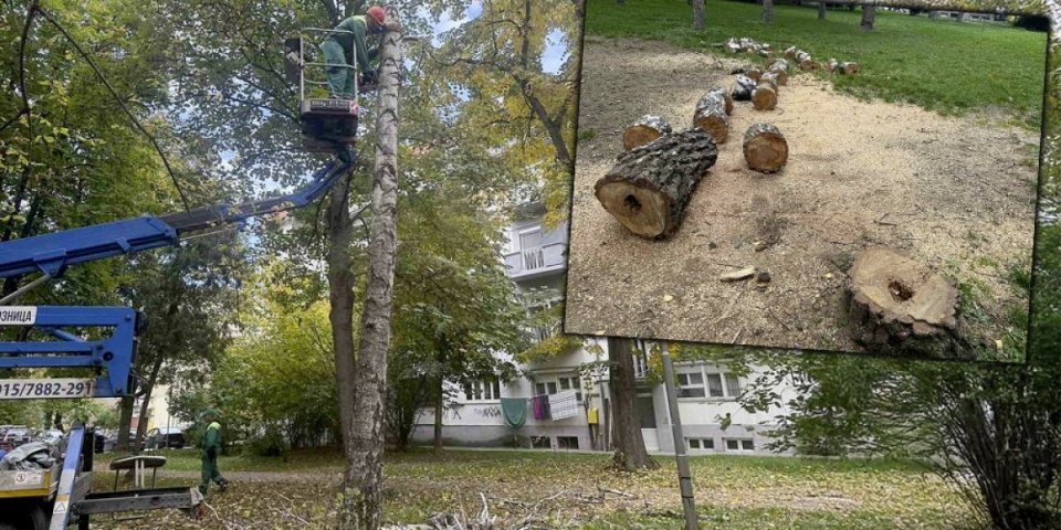 Kakav je ovo znak: Radnici lozničkog "Zelenila" ostali u neverici kad su ovo videli