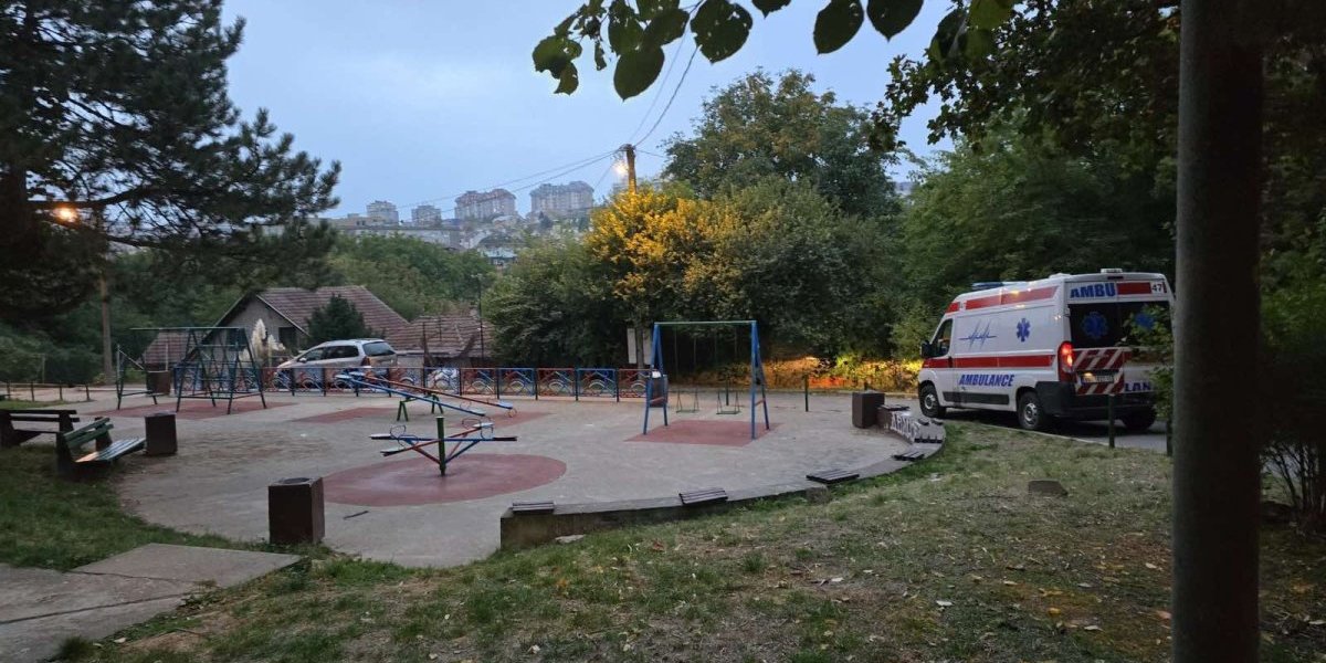 Šuma u kojoj je nađeno telo na Voždovcu