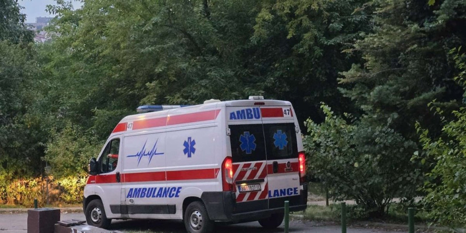 Užas na Voždovcu: Deca našla leš u šumi pored igrališta (FOTO/VIDEO)