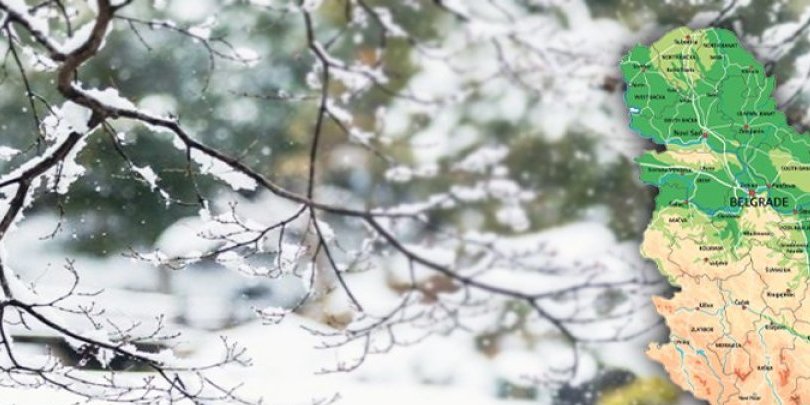 Ljudi zatiču legla zmija: Viđene čak i u snegu, stari veruju u jedno - Ne sluti dobro (FOTO)