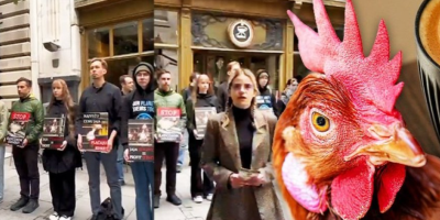 Pripadnici Woke pokreta u Srbiji, koje podržavaju i blokaderi, udarili su na popularni ugostiteljski lanac "Kafeteriju" i to zbog korišćenja jaja u svojim proizvodima.