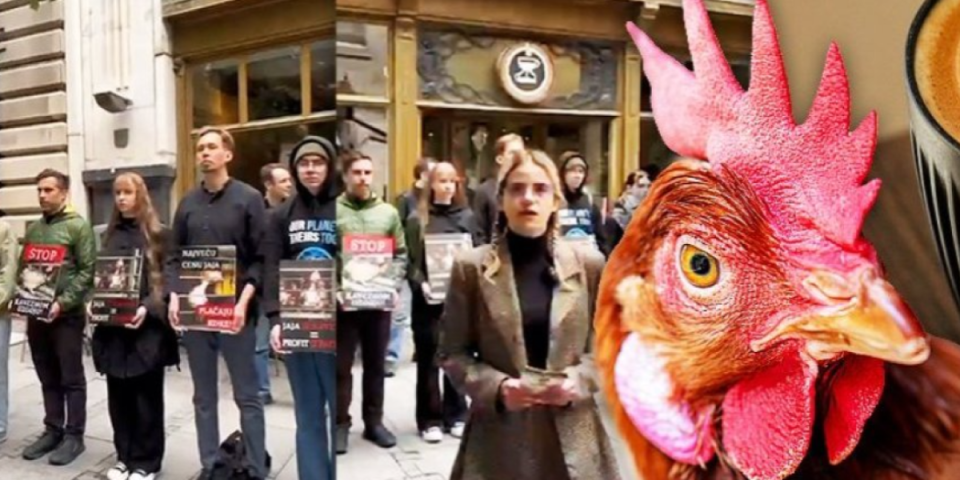 Ovi su totalno prolupali: Zgubidani sada maltretiraju građane i zbog jaja (VIDEO)