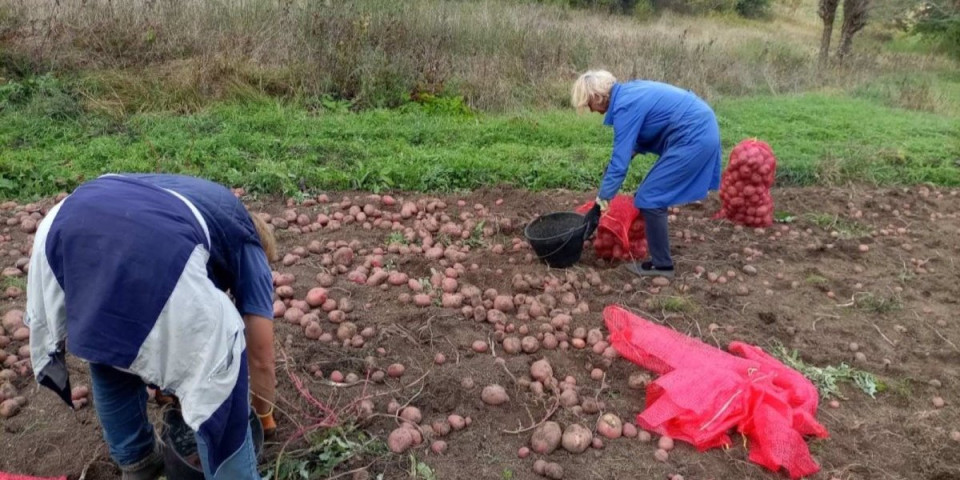 Jedan komad - ceo ručak: U ovom kraju domaćice nemaju brige