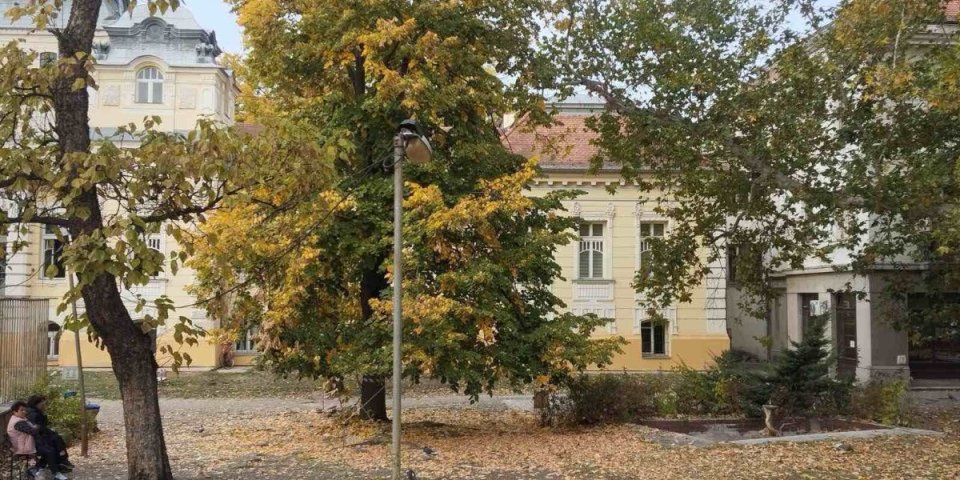 Znate li da se u Novom Sadu nalazi banja? Ceo kvart leži na lekovitom izvoru