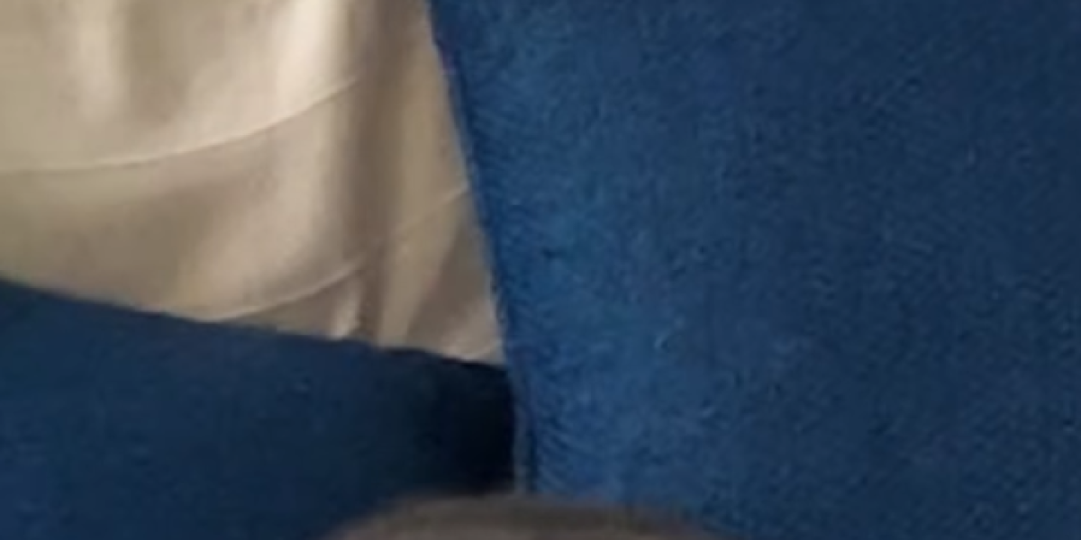 Mačka Slavice Ćukteraš