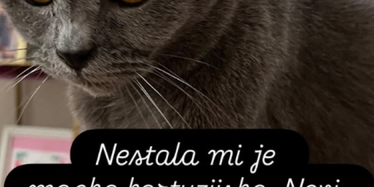 Mačka Slavice Ćukteraš